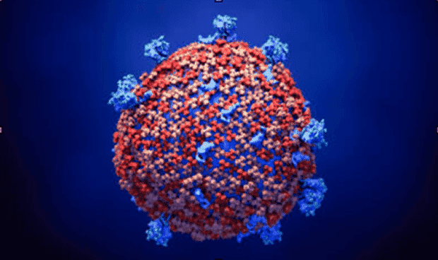 Coronavirus en las personas mayores
